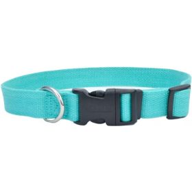 Coastal Pet New Earth Soy Adjustable Dog Collar Mint (size: 12-18"L x 3/4"W)