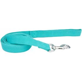 Coastal Pet New Earth Soy Dog Lead Mint Green (size: 1" Wide)