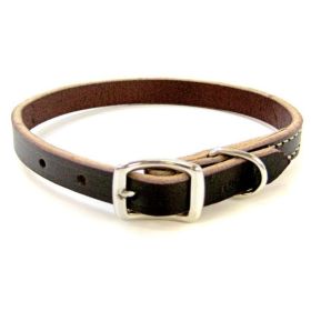 Circle T Latigo Leather Town Collar (size: 12" x 3/8")