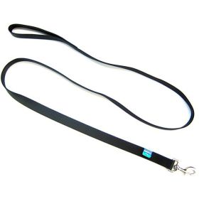 Coastal Pet Single Nylon Lead - 6' Long x 1" Wide (Color: Black)