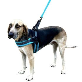 Sporn Easy Fit Dog Harness Blue (size: medium)