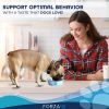 Active Dog Behavioral